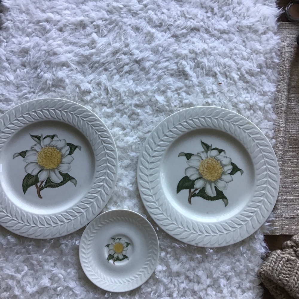 Theodore Haviland plates